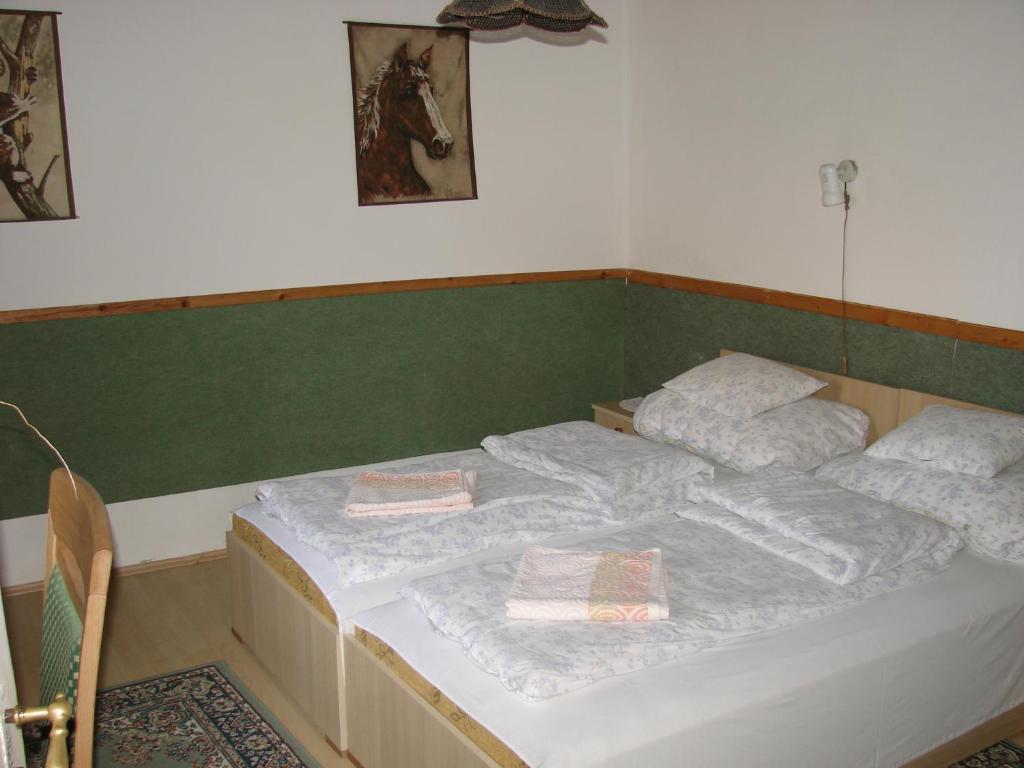 Benkő Vendégház Kiskutas Extérieur photo